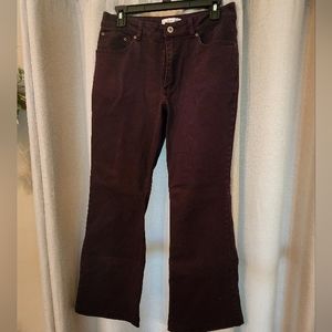 Coldwater Plum Purple Flare Jeans